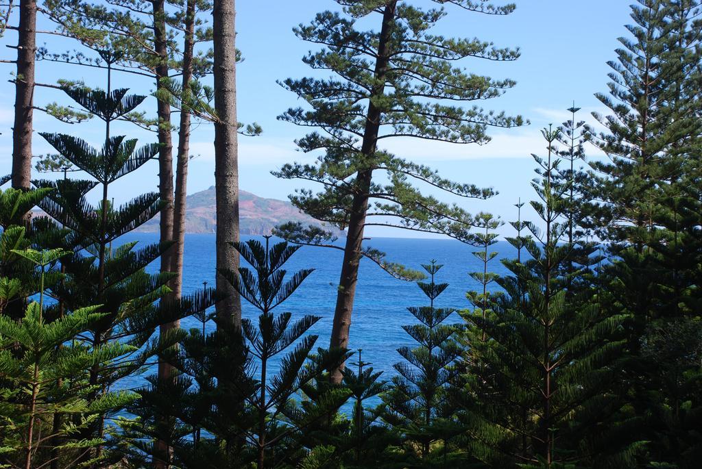 Coast Norfolk Island Apartamento Burnt Pine Quarto foto
