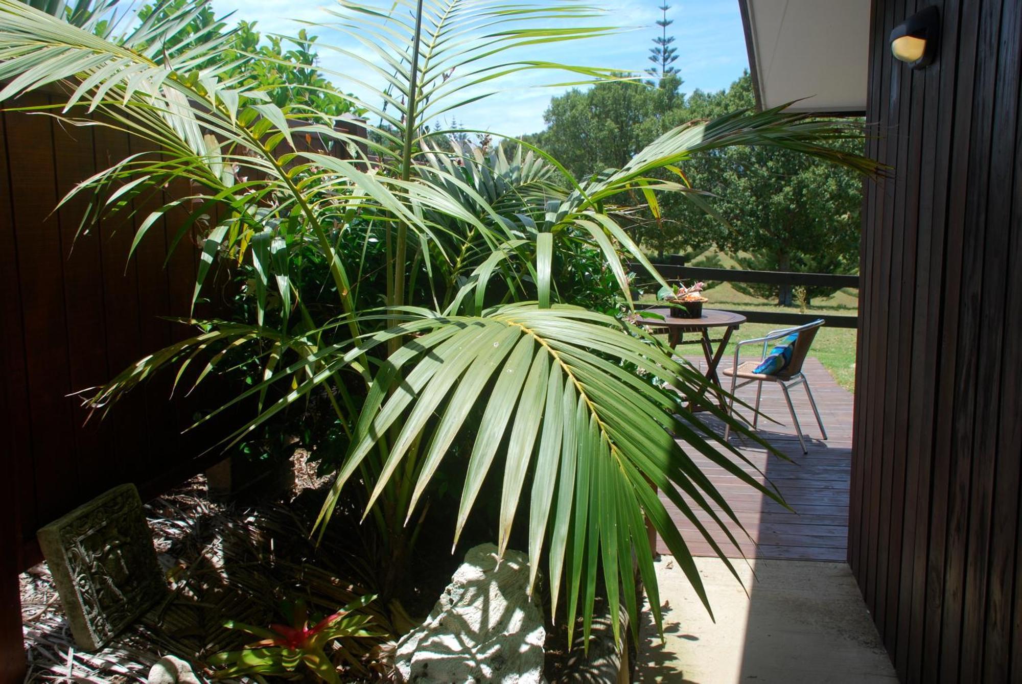 Coast Norfolk Island Apartamento Burnt Pine Exterior foto