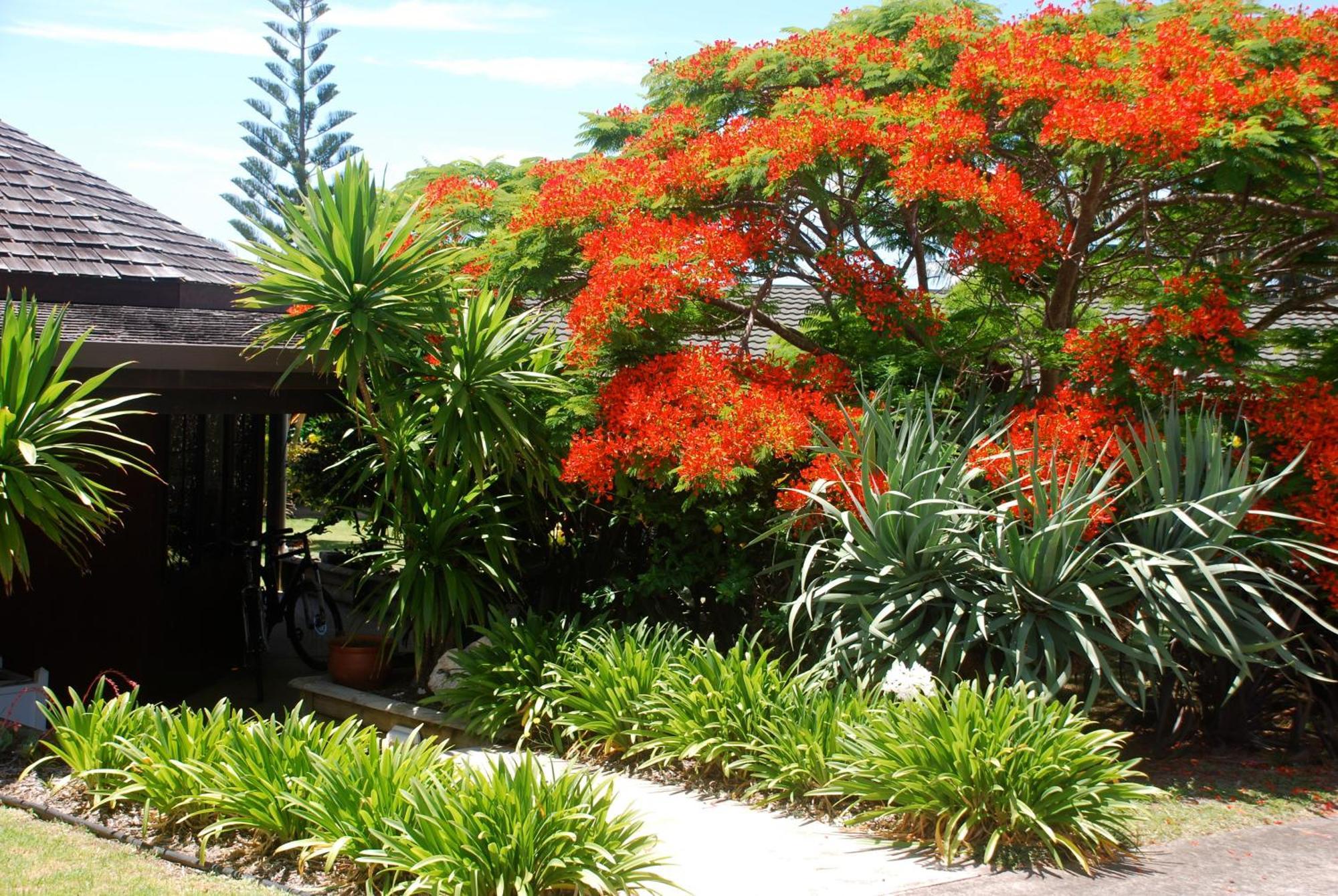 Coast Norfolk Island Apartamento Burnt Pine Exterior foto