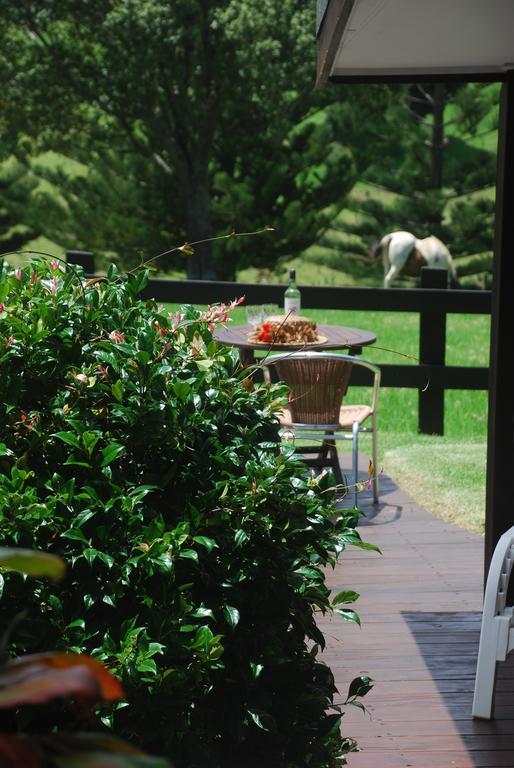 Coast Norfolk Island Apartamento Burnt Pine Quarto foto